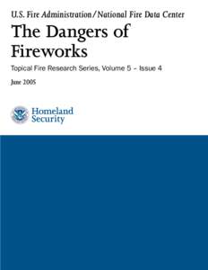 Topical Fire Research Series: The Dangers of Fireworks