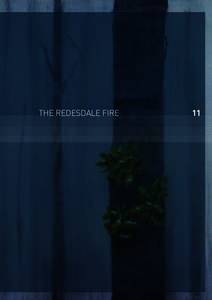 THE REDESDALE FIRE  11 Volume I: The Fires and the Fire-Related Deaths