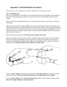 Appendix I. Soil Identification Procedures Note: These tests were conducted at each site to determine the soil texture (soil type). Test 1: Soil Ribbon Test Pick up several handfuls of soil adjacent to the mulch basins a