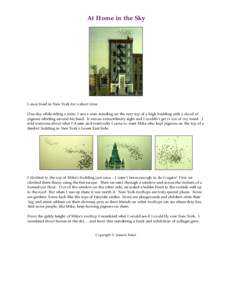 At Home in the Sky  I once lived in New York for a short time. One day while riding a train, I saw a man standing on the very top of a high building with a cloud of pigeons whirling around his head. It was an extraordina