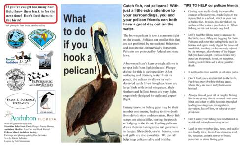 If you’ve caught too many bait fish, throw them back in for the next time! Don’t feed them to the birds! This pamplet has been produced by
