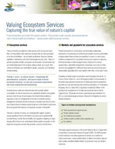 Valuing Ecosystem Services  Capturing the true value of nature’s capital Forest ecosystems are human life-support systems. They provide a suite of goods and services that are vital to human health and livelihood—natu