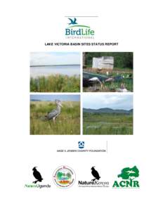 Aquatic ecology / Wetland / Yala Swamp / Cyperus papyrus / Lake Victoria / Papyrus Flycatcher-warbler / Natural resource management / Kisumu / Conservation biology / Environment / Earth / Geography of Africa