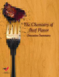 Chemistry of Beef Flavorindd