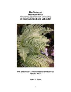 The Status of Mountain Fern Thelypteris quelpaertensis (H. Christ) Ching in Newfoundland and Labrador