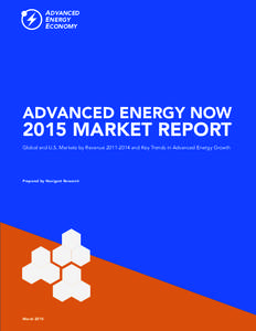 ADVANCED ENERGY ECONOMY the business voice of advanced energy