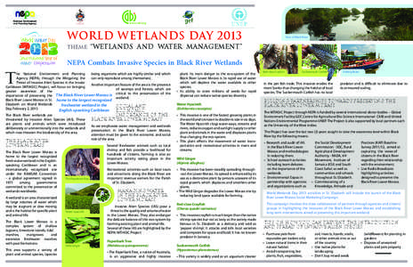 World Wetlands Day 2013 Theme: