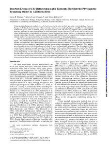 Insertion Events of CR1 Retrotransposable Elements Elucidate the Phylogenetic Branching Order in Galliform Birds Vera B. Kaiser,* Marcel van Tuinen,  and Hans Ellegren*