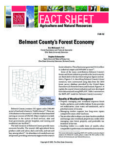 Belmont County /  Ohio / Belmont / Tax / Economic impact analysis / Wheeling metropolitan area / MIG /  Inc. / Economics
