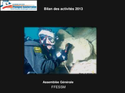 http://idf.plongeesouterraine.org  Bilan des activités 2013 Assemblée Générale