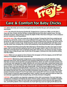 Care & Comfort for Baby Chicks PEN: Before the chicks are to arrive, thoroughly clean and disinfect the pen well with poultry house disinfectant. LITTER: Use softwood chip shavings (preferred), chopped straw or peat moss