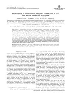 Annals of Botany 100: 1441–1457, 2007 doi:aob/mcm242, available online at www.aob.oxfordjournals.org The Cucurbits of Mediterranean Antiquity: Identification of Taxa from Ancient Images and Descriptions J U L E