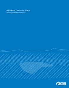 GAZPROM Germania GmbH Konzerngeschäftsbericht 2011 Energie verbindet Menschen  GAZPROM Germania Gruppe im Überblick