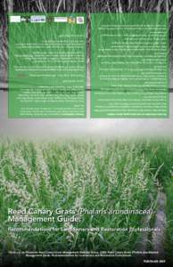 PUB-FR[removed]Please cite as: Wisconsin Reed Canary Grass Management Working Group[removed]Reed Canary Grass (Phalaris arundinacea) Management Guide: Recommendations for Landowners and Restoration Professionals Recomme