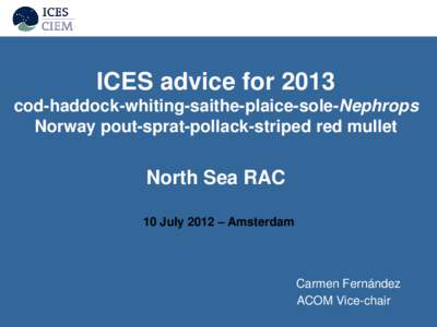 ICES advice for 2013 cod-haddock-whiting-saithe-plaice-sole-Nephrops Norway pout-sprat-pollack-striped red mullet North Sea RAC 10 July 2012 – Amsterdam