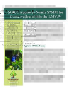 L OW E R M I S S I S S I P P I V A L L E Y J O I N T V E N T U R E  MBCC Approves Nearly $7MM for Conservation within the LMVJV The Lower Mississippi Valley Joint Venture is a