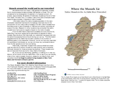 Mussels around the world and in our watershed Worldwide there are nearly 1,000 species of freshwater mussels. North A merica supports approximately 300 species, of these, 72% are considered to be endangered, threatened, 