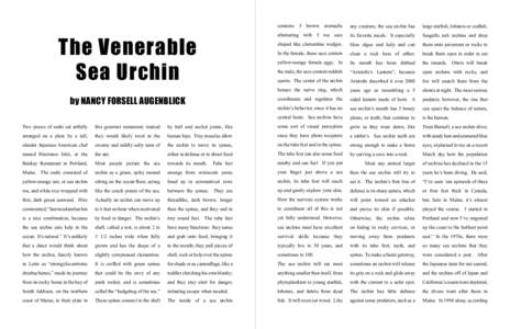 contains  The Venerable Sea Urchin by NANCY FORSELL AUGENBLICK