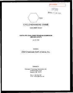Lactams / Monomers / Cyclohexanone oxime / Median lethal dose / Oxime / Toxicity / Caprolactam / Ecotoxicity / Toxicology / Chemistry / Organic chemistry