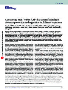 ARTICLES  A conserved motif within RAP1 has diversified roles in telomere protection and regulation in different organisms  © 2011 Nature America, Inc. All rights reserved.