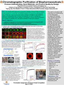 Chromatographic Purification of Biopharmaceuticals Process Understanding, Novel Materials, and Product Quality by Design Physical & Environmental Sciences & Engineering School of Engineering and Applied Science, Departme