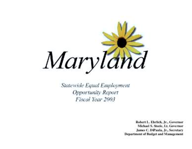Statewide Equal Opportunity Report for Fiscal Year 2003