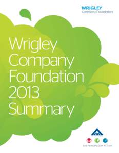 Wrigley Company Foundation 2013 Summary