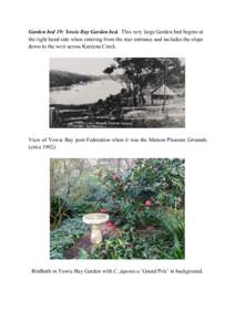 Flora of China / Flora of Japan / Biology / C. japonica / Petal / Camellia / Botany / Flowers