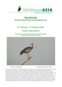 Cambodia Oriental Bird Club fundraising tour