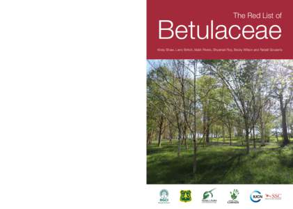 Conservation / International Union for Conservation of Nature / Flora of China / Betulaceae / Betula oycoviensis / Ostrya rehderiana / Birch / IUCN Red List / Taxonomy of Betula / Environment / Ecology / Flora