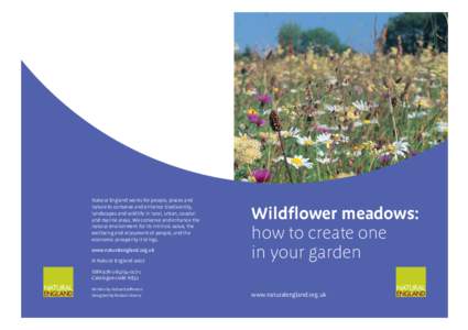 8108 Wildflower Meadows v3