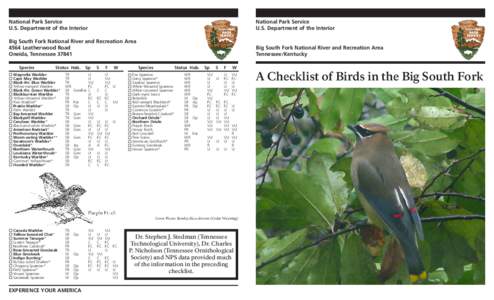 Canada Warbler / Prairie Warbler / Dendroica / VU / Pine Warbler