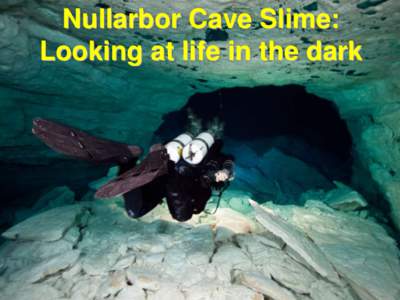 Nullarbor Cave Slime: Looking at life in the dark 1  Location of sampled caves