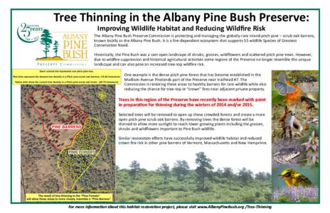 Tree Thinning in the Albany Pine Bush Preserve: Improving Wildlife Habitat and Reducing Wildfire Risk The Albany Pine Bush Preserve Commission is protecting and managing the globally-rare inland pitch pine – scrub oak 