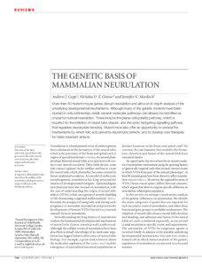 REVIEWS  THE GENETIC BASIS OF