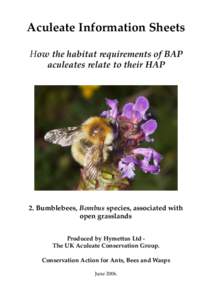 Aculeate Information Sheets How the habitat requirements of BAP aculeates relate to their HAP 2. Bumblebees, Bombus species, associated with open grasslands