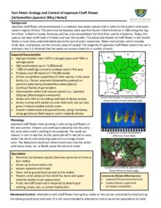 Chemistry / Organochlorides / Plant morphology / Plant sexuality / Pyridines / Aminopyralid / Chaff / Dow AgroSciences / Amaranth / Biology / Agriculture / Herbicides