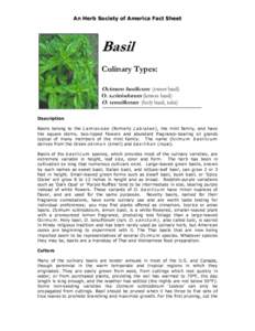 An Herb Society of America Fact Sheet  Basil Culinary Types: Ocimum basilicum (sweet basil) O. xcitriodorum (lemon basil)