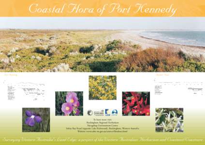 Coastal Flora of Port Kennedy  Port Kennedy Becher Point