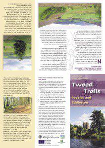 6 Central Tweeddale Leaflet.indd