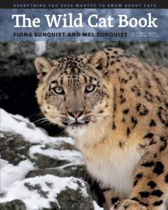 The Wild  Cat Book Everything You Ever Wanted to Know about Cats