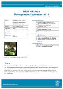 Bluff Hill Area Management Statement 2013