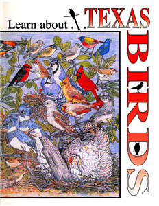 Learn about[removed]A Learning and Activity Book Color your own guide to the birds that wing their way across the plains, hills, forests, deserts and mountains of Texas.