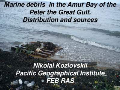 Marine debris in the Amur Bay of the Peter the Great Gulf. Distribution and sources Nikolai Kozlovskii Pacific Geographical Institute