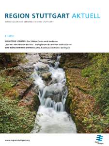 Region Stuttgart aktuell Infomagazin des verbandS region Stuttgar t 2   |  2013 Schnittige Sprinter. Die S-Bahn-Flotte wird moderner „Suchet der Region Bestes“. Dialogforum der Kirchen stellt sich vor