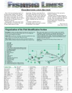 FISH IDENTIFICATION SECTION One of the most intriguing aspects of Florida marine fishing is the constant repetition of the question, “What is it?” Rare indeed is the angler who, at some time during a fishing trip, do