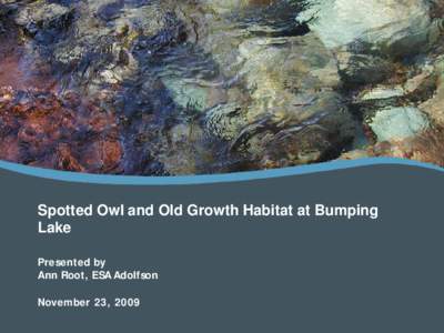Spotted Owl and Old Growth Habitat at Bumping Lake Presented by Ann Root, ESA Adolfson November 23, 2009