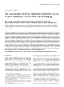 The dopaminergic midbrain participates in human episodic memory formation: evidence from genetic imaging