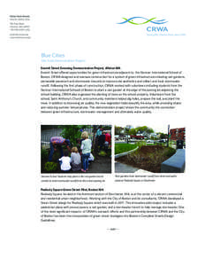 Environmental engineering / Earth / Allston-Brighton / Allston / Brighton /  Massachusetts / Stormwater / Green infrastructure / Boston / Rain garden / Neighborhoods in Boston /  Massachusetts / Environment / Water pollution