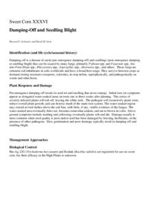 Microsoft Word - DampingOffSeedlingBlight-Sweetcorn.doc
